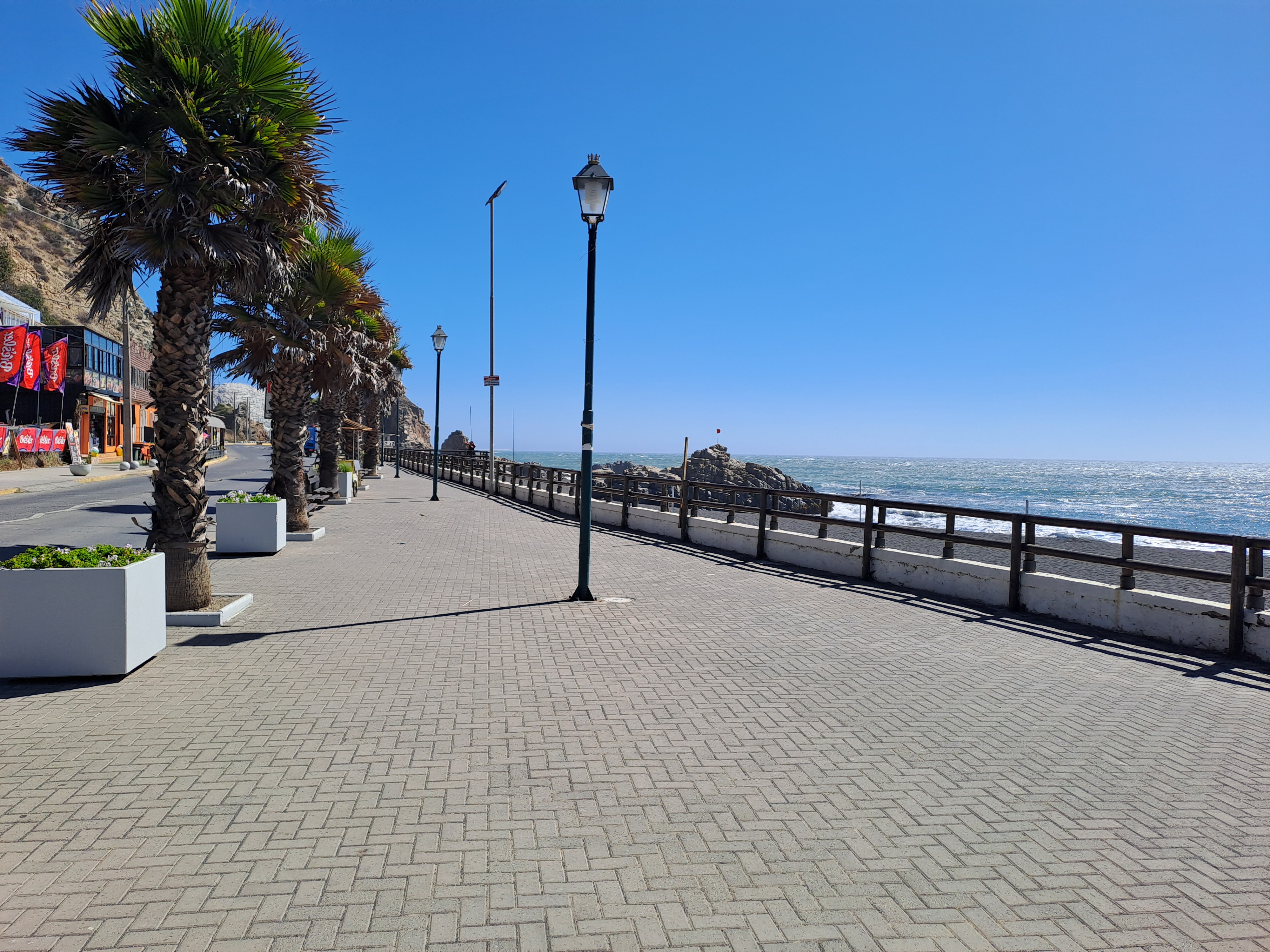 Fotografía del borde costero con liminarias y palmeras